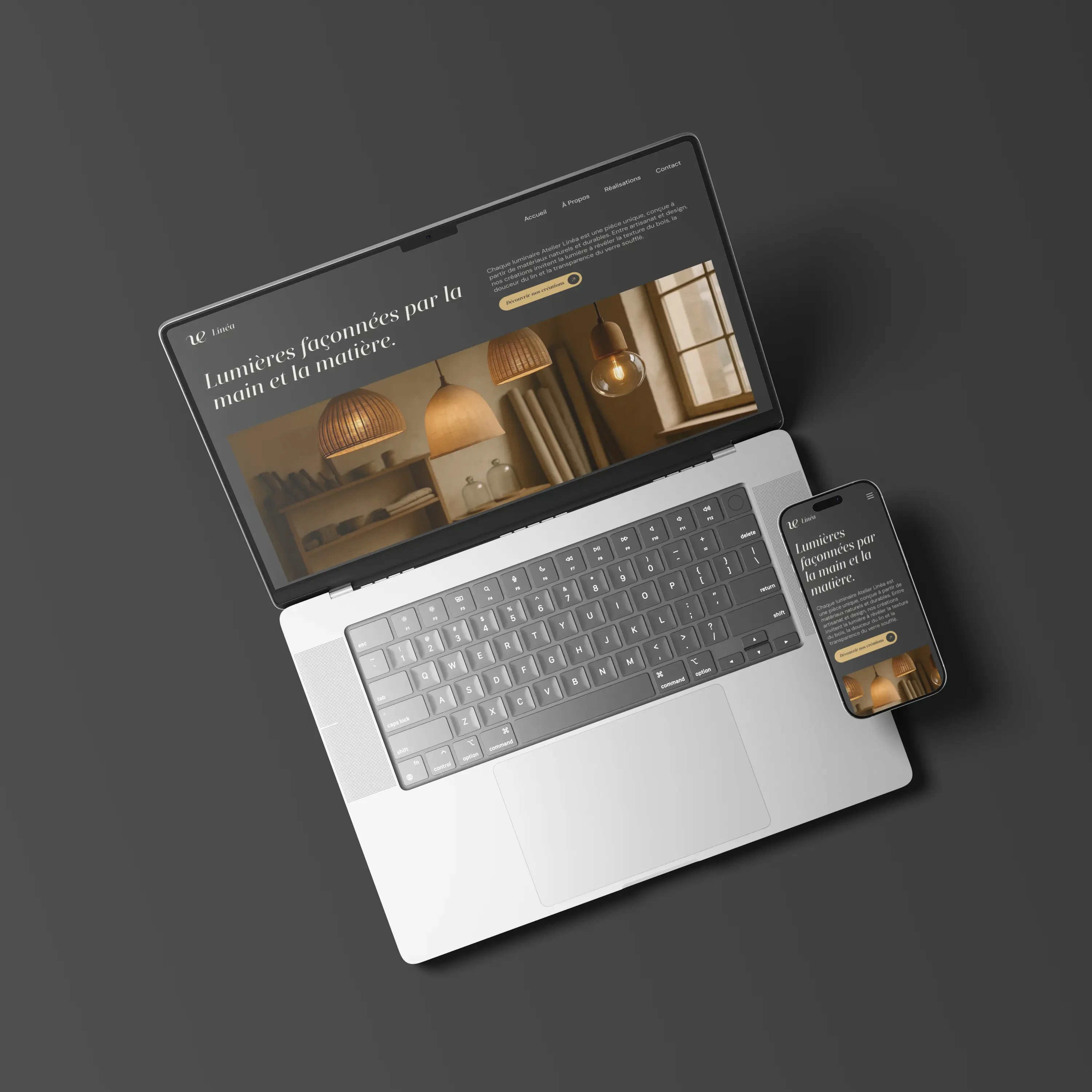 Vignette du projet Linéa