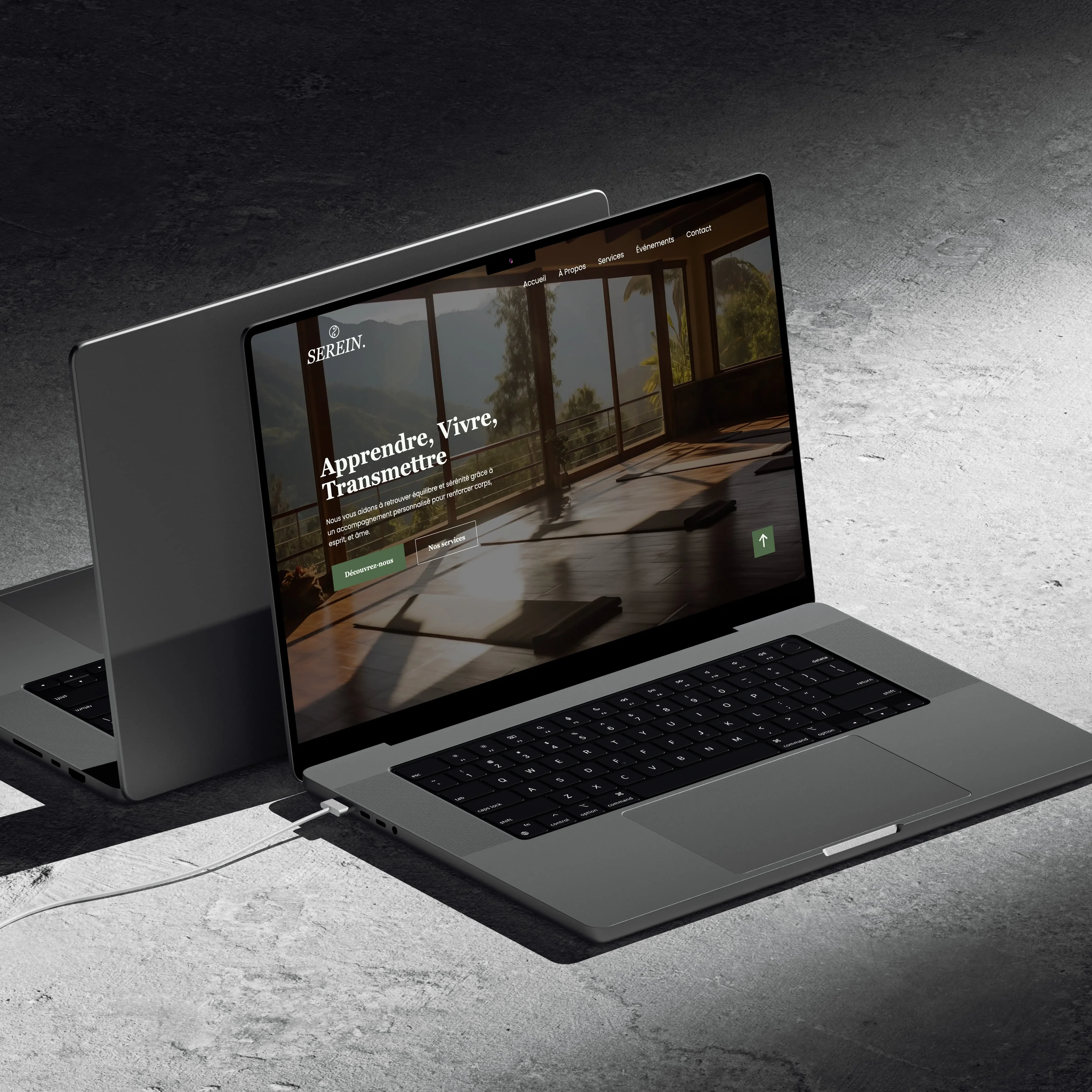 Vignette du projet Serein.